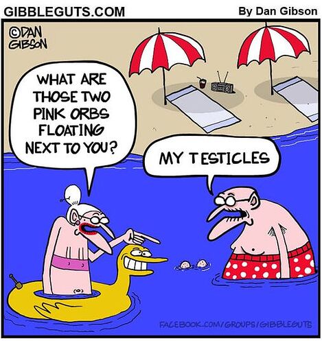 Testicles