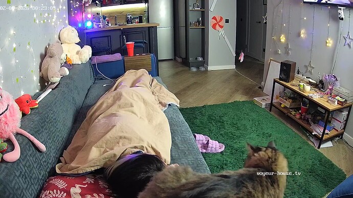 realm144-cam14-1770413046