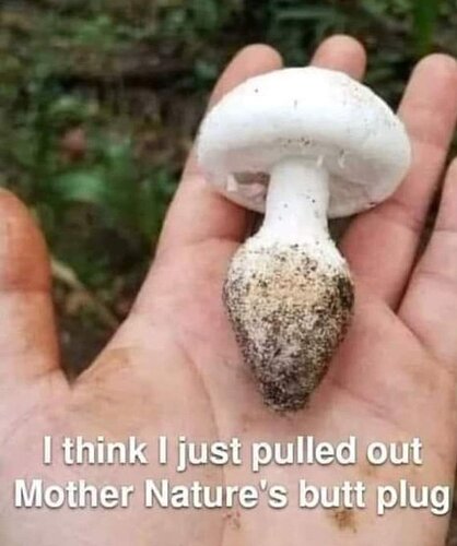 FvxJQykWYAAQOw3