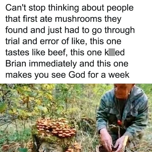 Mushroom