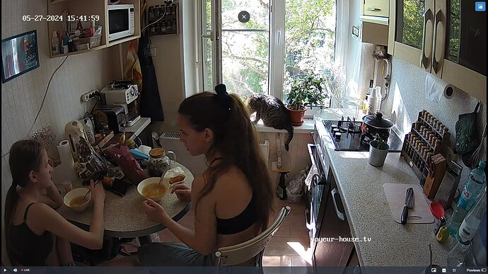 Ashampoo_Snap_lundi 27 mai 2024_14h42m26s_004_Kitchen camera at Ubaldo & Bo reallifecam apartment at Voyeur House TV (cam11) - Google Chrome