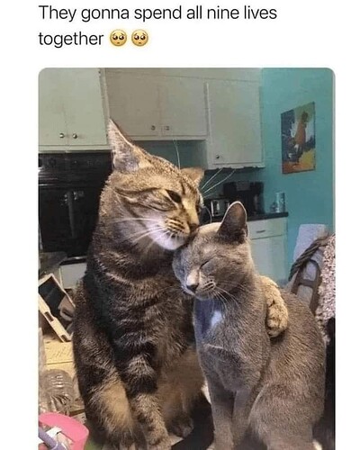 main-qimg-0d2698b6095738ac11d0c7f20fbd8099