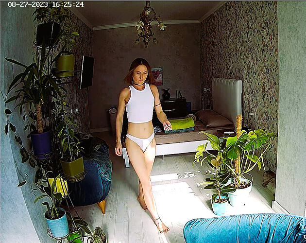 Screenshot 2023-08-27 at 11-29-37 Clara & Stas - Apartments Discussion - Voyeur House TV Forum