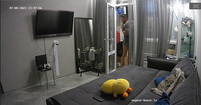 Screenshot 2023-07-08 at 16-53-47 Living room camera at Amelie & Lucas reallifecam apartment at Voyeur House TV (cam15)