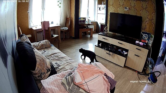 realm11-cam14-1728222036