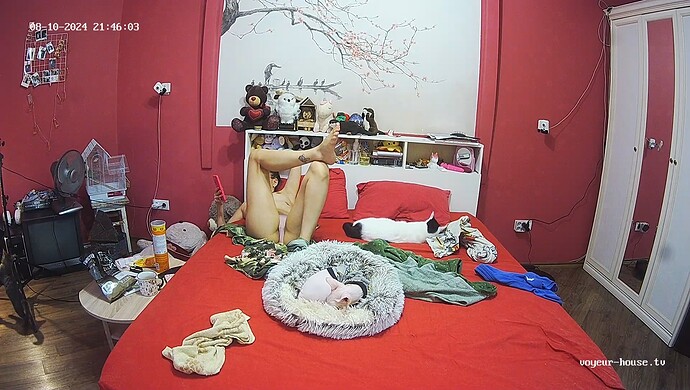 realm60-cam16-1723326236