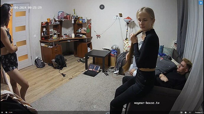 Ashampoo_Snap_jeudi 3 octobre 2024_23h25m56s_019_Living room camera at Camille reallifecam apartment at Voyeur House TV (cam15) - Google Chrome