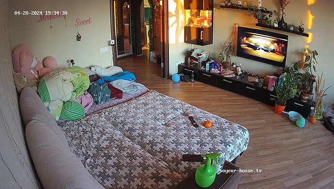 realm37-cam16-1713631067