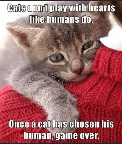 main-qimg-ea5f89644d24837302baa1cd3fee3015