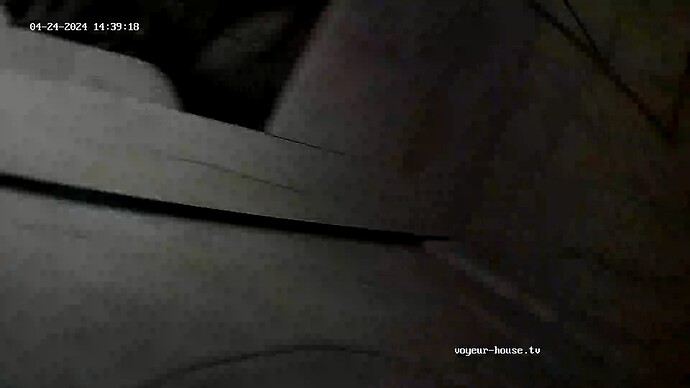 realm33-cam16-1713960487