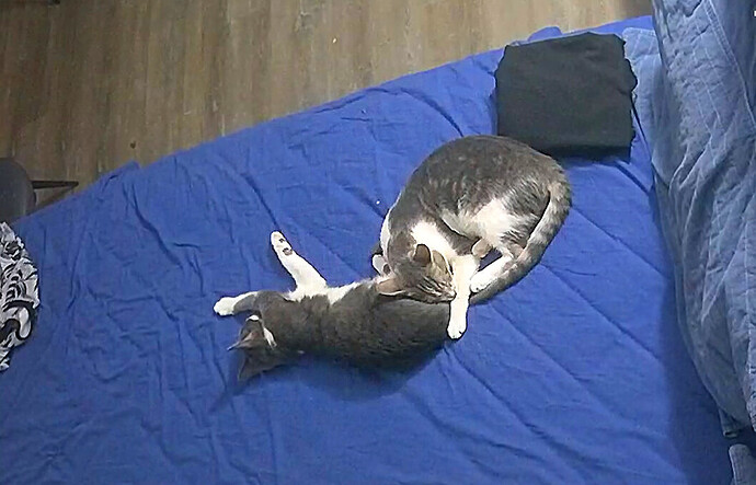 bandicam 2023-12-21 13-41-42-987