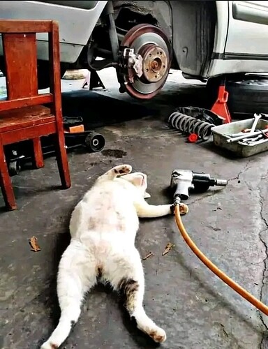 main-qimg-165f8919ebaa9dda6ea39596cd8c991d