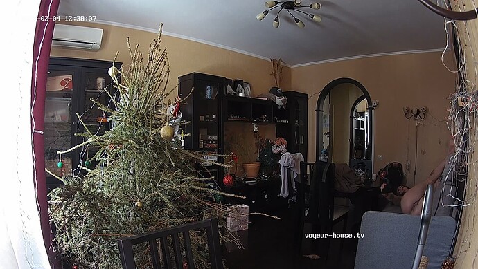 realm7-cam14-1770212999