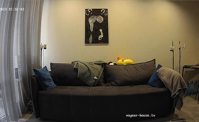 Screenshot 2023-10-25 at 08-32-59 Tonk apartment with reallifecam cameras at Voyeur House TV