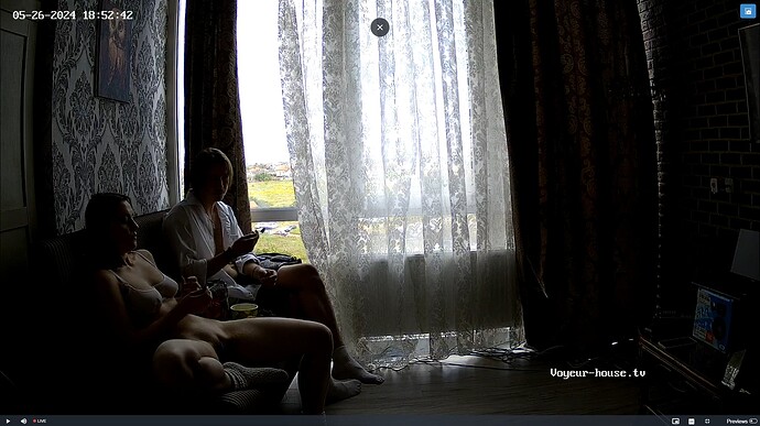 Ashampoo_Snap_dimanche 26 mai 2024_17h53m12s_007_Living room camera at Amelie & Lucas, Oscar & Pearl reallifecam apartment at Voyeur House TV (cam15) - Google Chrome