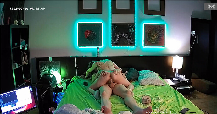 Screenshot 2023-07-10 at 02-48-04 Bedroom camera at Amelie & Lucas reallifecam apartment at Voyeur House TV (cam17)