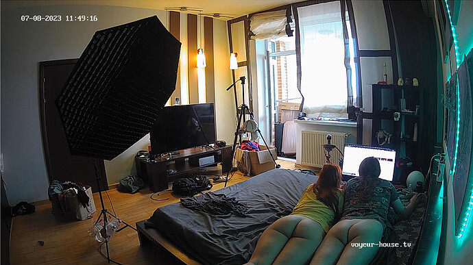 Screenshot 2023-07-08 at 05-49-44 Bedroom camera at Camille reallifecam apartment at Voyeur House TV (cam18)
