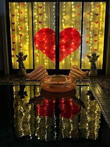 photo_2026-02-12_14-02-34