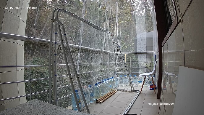 realm130-cam111-1765800590