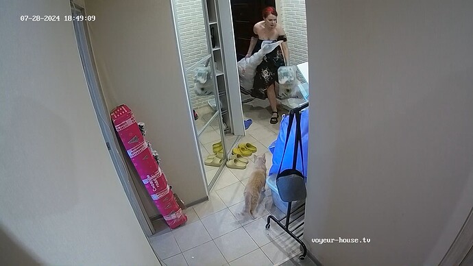 realm62-cam111-1722196599