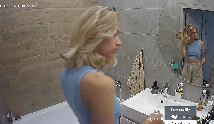 Screenshot 2023-06-02 at 02-09-39 Guest bedroom camera at Sophia Elon Claudia reallifecam apartment at Voyeur House TV (cam110)