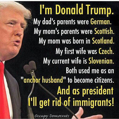 1485530519-donald-trump-rofl-jokes