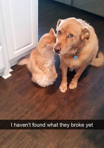 main-qimg-cbc701bc807c0034b8f1c4498ab17308-lq