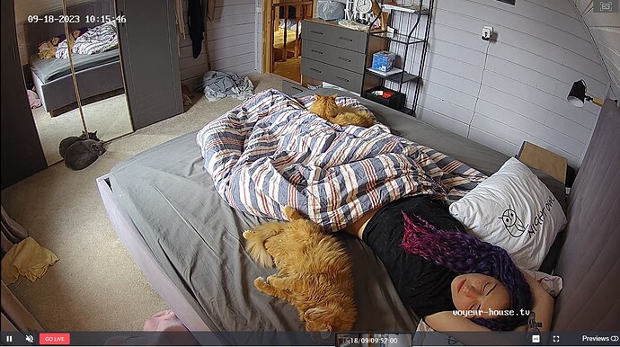 Screenshot_2023_09_18-1