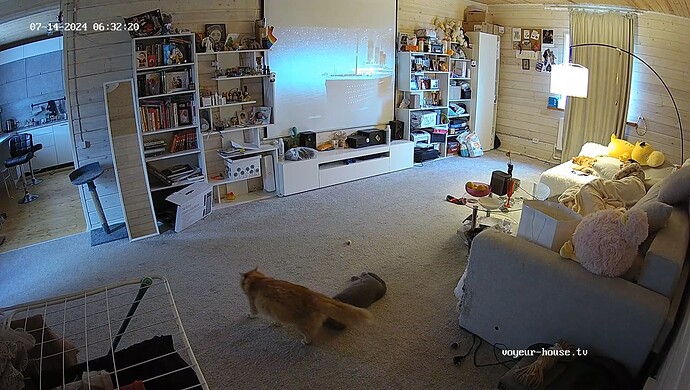 realm83-cam14-1720927975