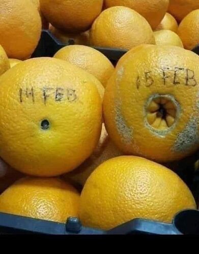 WhatsApp Image 2026-02-14 at 14.56.51