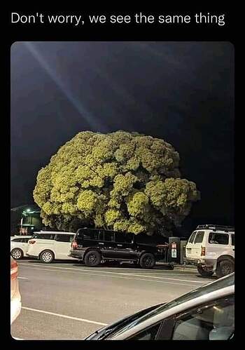 FB_IMG_1681266235233
