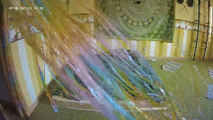 realm55-cam110-1690729726