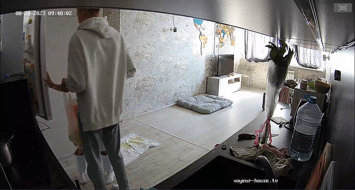 bandicam 2023-08-20 14-28-40-856