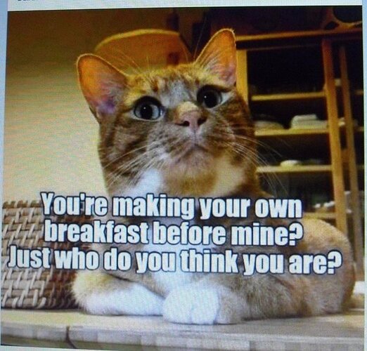 main-qimg-62b102cc5928854edb75181bd31c6ab6-lq