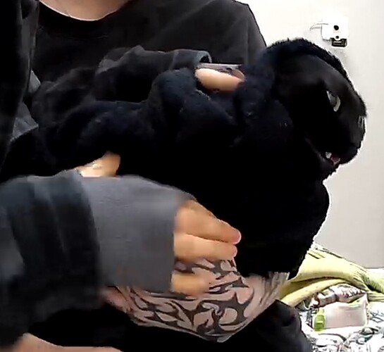 Screenshot 2025-12-10 173353