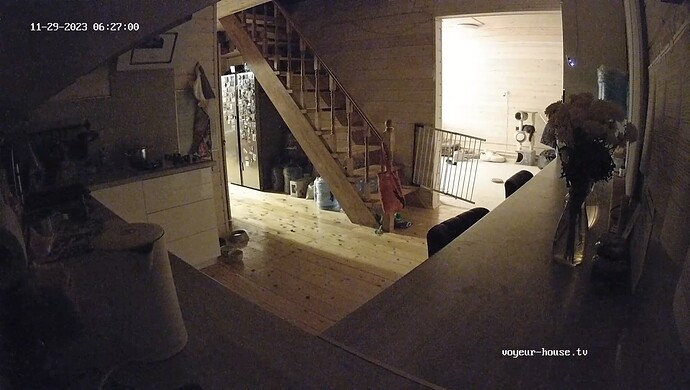 realm83-cam11-1701228453