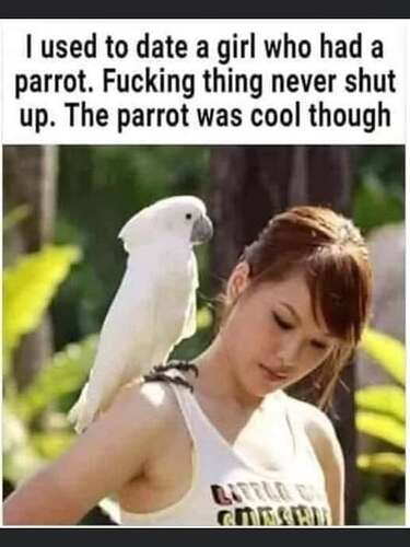 555342161_122216845124155366_8514843530174191403_n