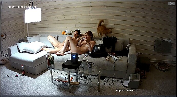 Screenshot_2023_08_20-48