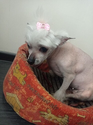 ef0171ae3e5774caa0c0de20e525cea6835d637d