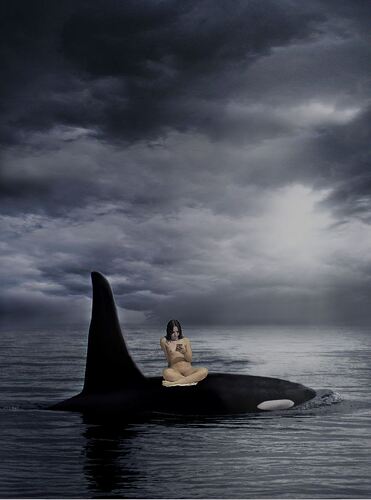 WhaleTour3-2