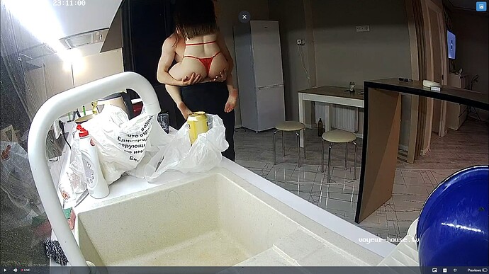 Ashampoo_Snap_dimanche 26 mai 2024_22h11m29s_002_Kitchen camera at Kristall reallifecam apartment at Voyeur House TV (cam11) - Google Chrome