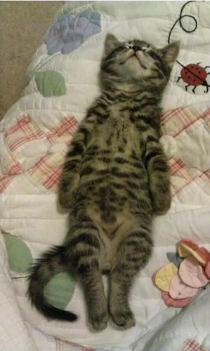 main-qimg-46e57430c6012d1d85d79a71e8e13bd6