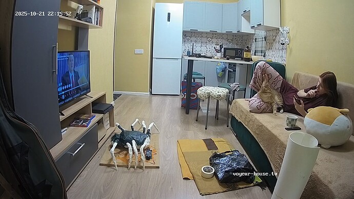 realm87-cam15-1761074188