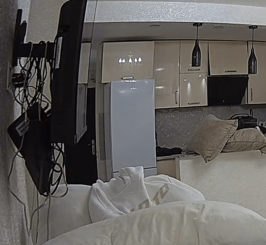 realm65-cam13-17101243251