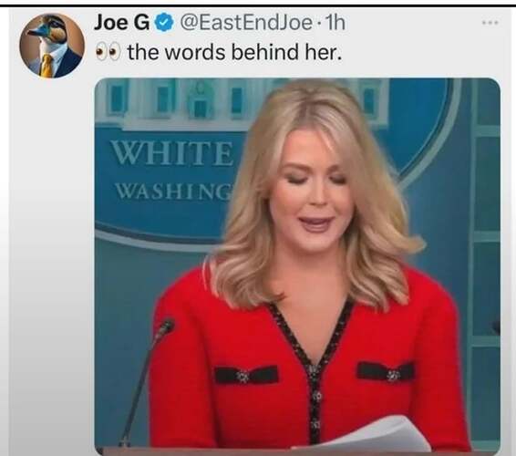 hidden-in-plain-sight-v0-3fc3h7h8q8uf1