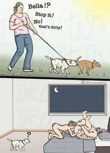 402108285_2706884362792119_1981273251173847671_n