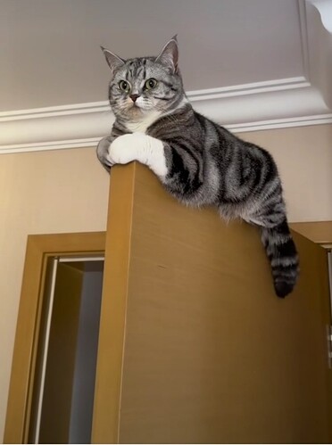 main-qimg-17d357ee434d259b66ef0ef09337650b