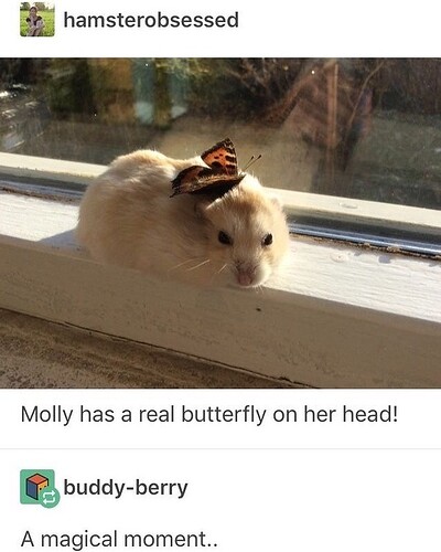 main-qimg-901579161273dd97a61599ae79e5da38