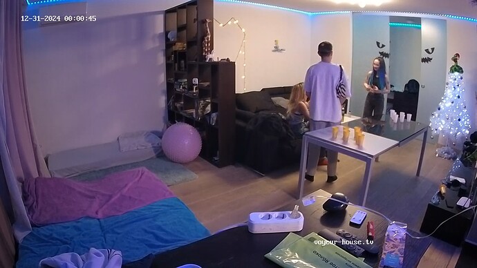 realm55-cam13-1735581681