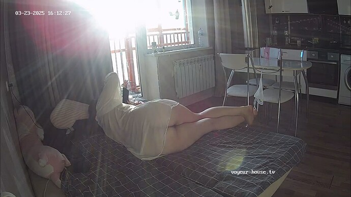 Ashampoo_Snap_dimanche 23 mars 2025_14h12m51s_009_Living room camera at Tea reallifecam apartment at Voyeur House TV (cam14) - Google Chrome